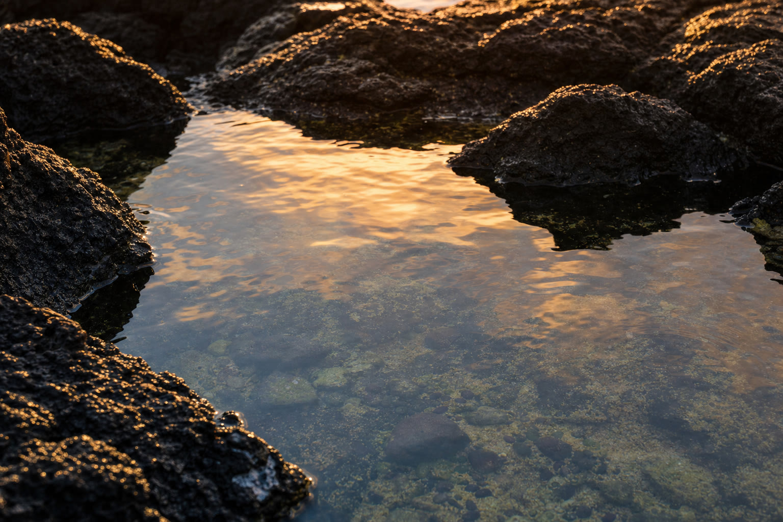 Golden-hour light reflecting in a lava-rock tide pool on the Kona coast.